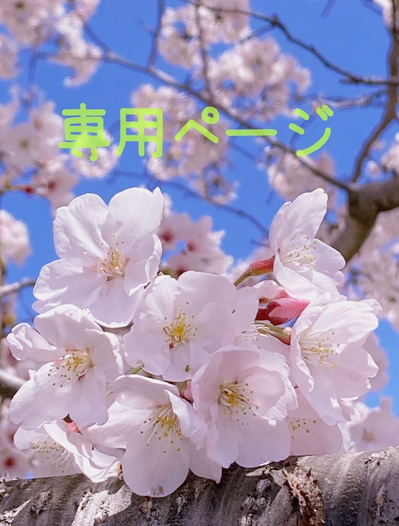 COACH 黒 レザー トートバッグ コーチ レザートートバッグ COACH | 京都通販ミセスのファッション館・本店