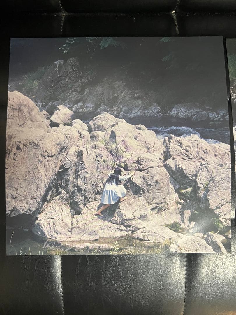 美品】直筆サイン入り！カネコアヤノ 群れたち レコード LP 500枚限定