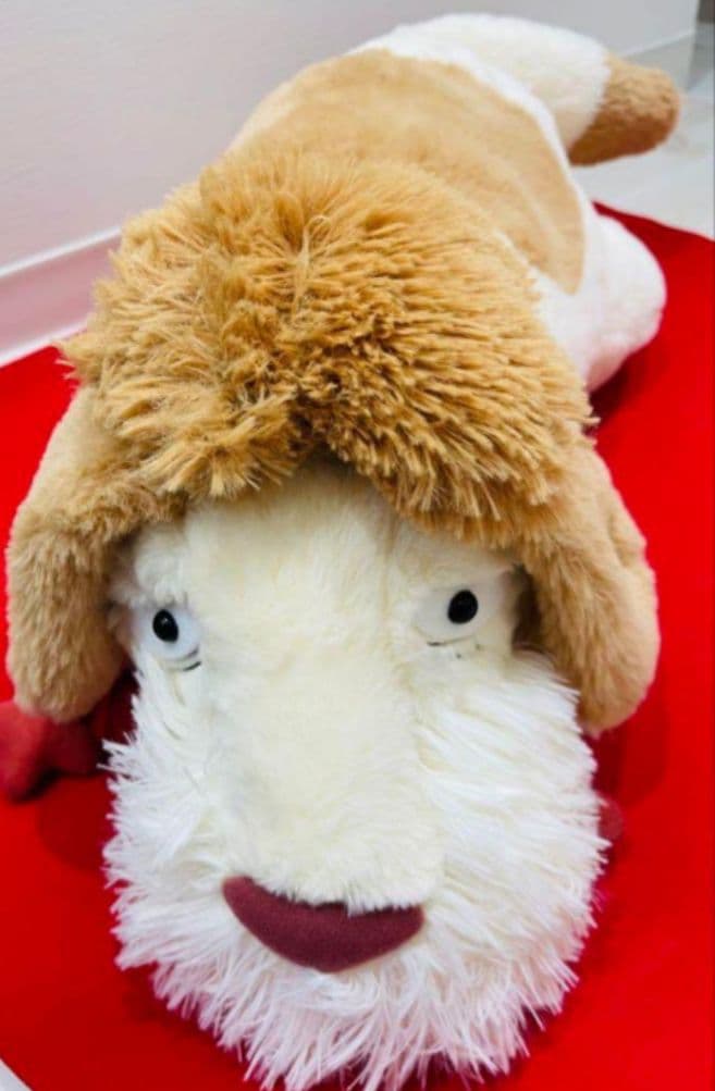 【新品タグ付き】ジブリパーク購入　ハウルの動く城　ヒン　ぬいぐるみ　1体 ジブリパーク限定】ハウルの動く城「特大ヒンぬいぐるみ」徹底紹介！重