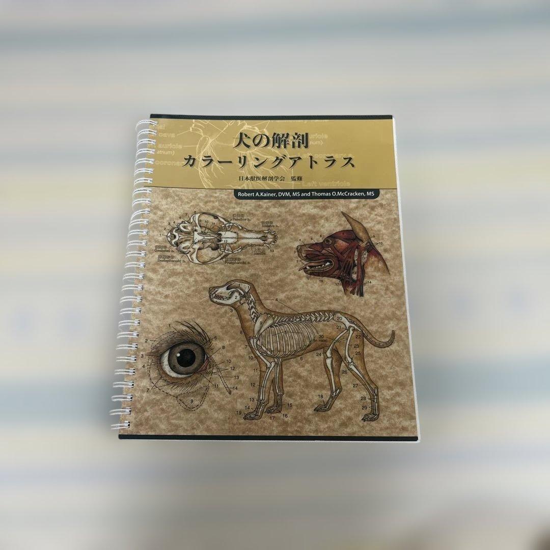 犬の解剖 カラーリングアトラス - メルカリ