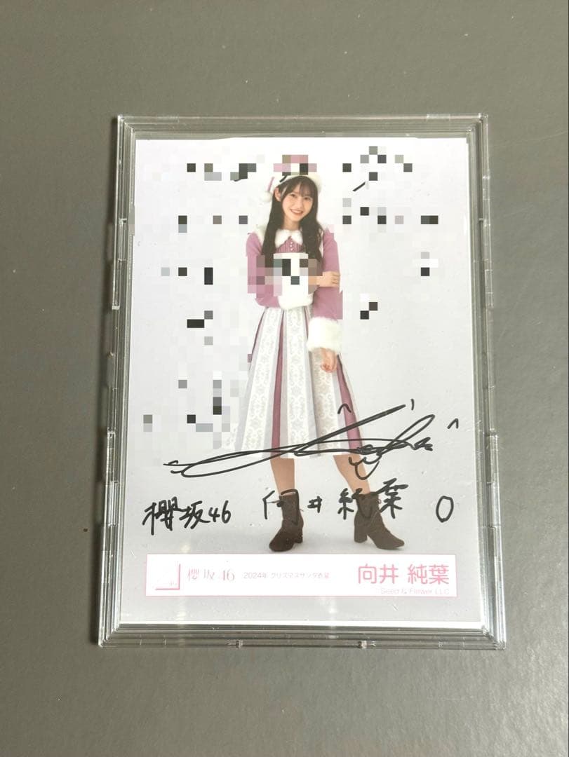 直筆最安値】向井純葉 直筆 サイン入り クリスマスサンタ ※値引交渉