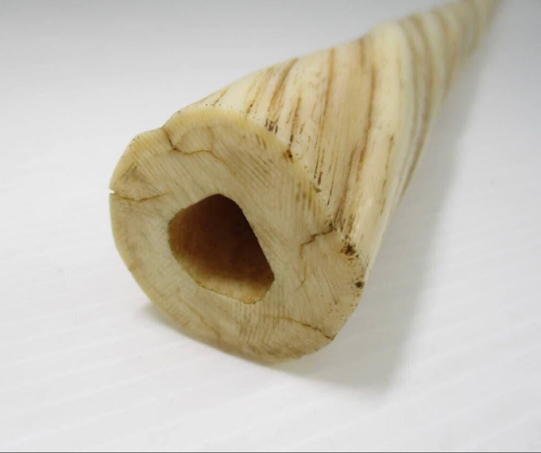 年末特別品】一角 ウニコール イッカク 角 根付 彫刻 仏像 石器 縄文