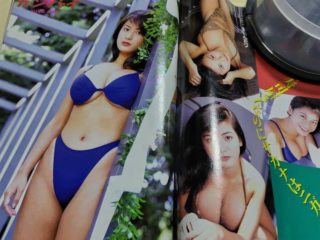 ♪ヤングキング増刊 エトランゼ 青木裕子&ヤングアニマル 「表紙