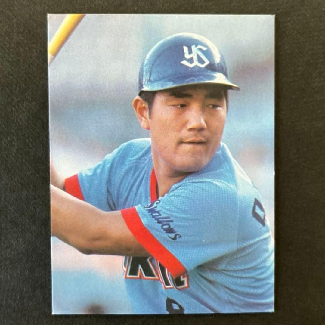 カルビープロ野球カード【1979年版】ヤクルトスワローズ大杉勝男選手3