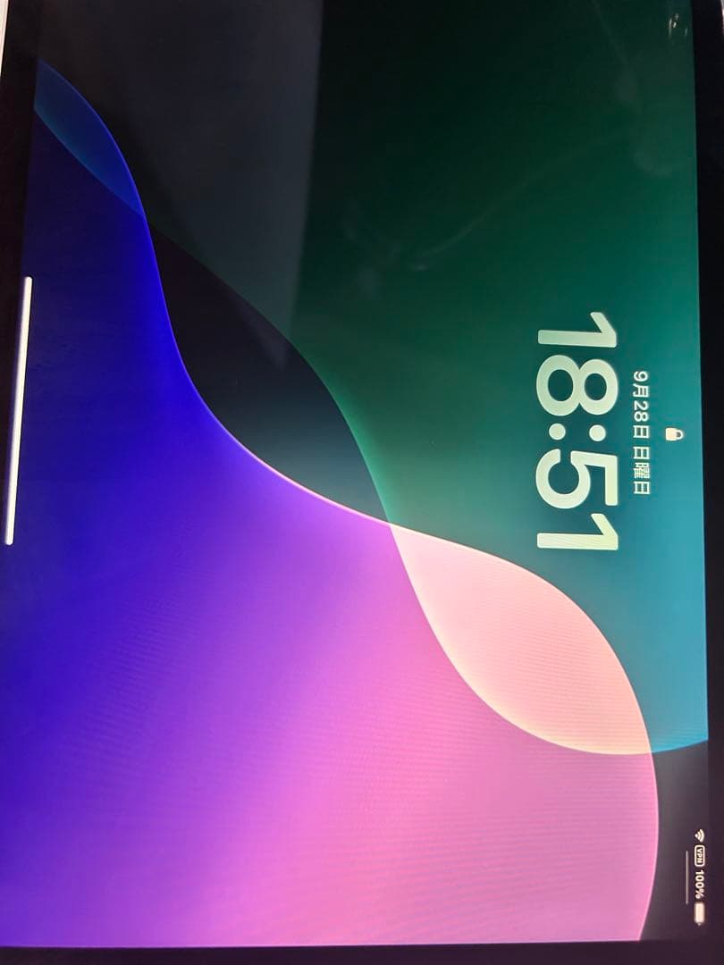 Apple iPad Pro 第4世代 11インチ シルバー 11インチiPad Pro Wi-Fi 2TB - シルバー（第4世代）[整備済製品