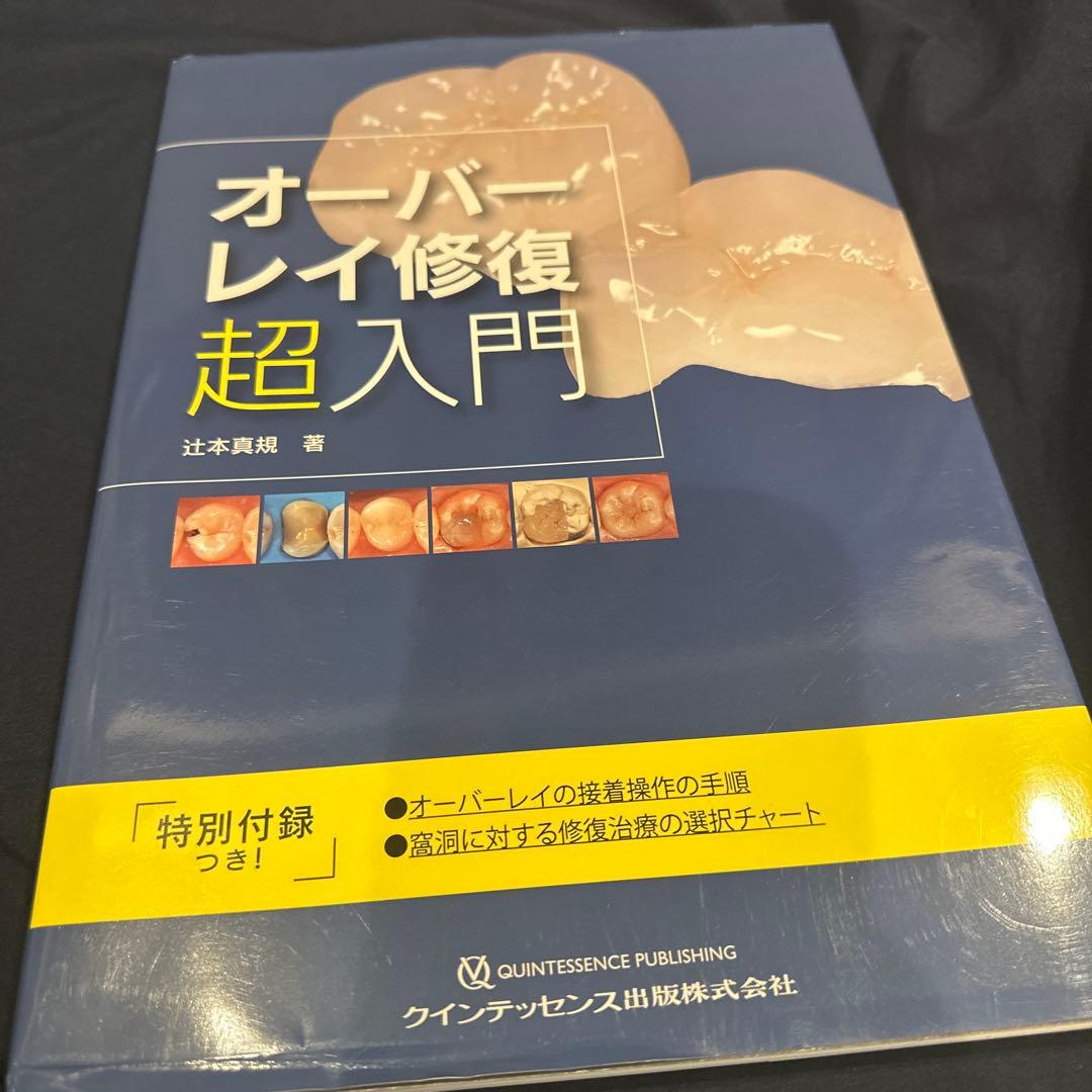 オーバーレイ修復 超入門 オーバーレイ修復 超入門/辻本真規
