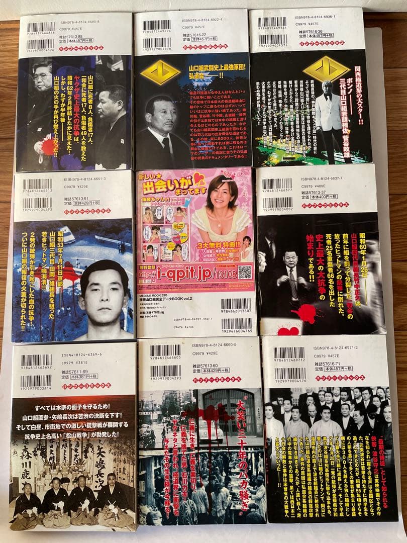 山口組‼️実録シリーズ19冊セット フィクション 抗争 極道 ヤクザ