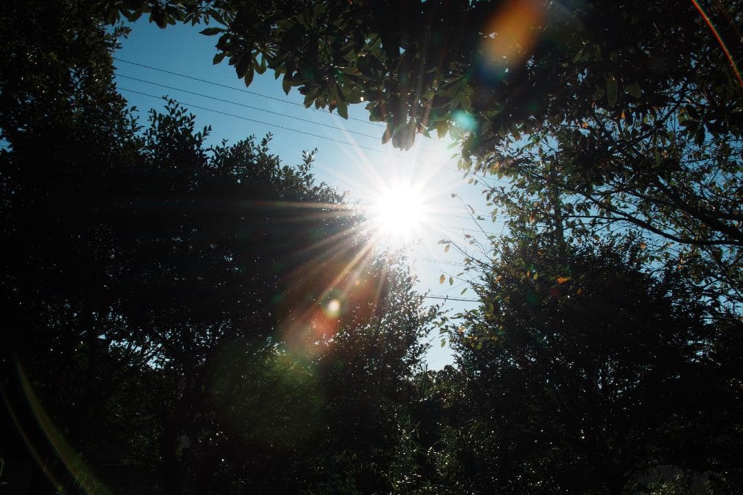 レンズ(ズーム) Nikon AF-S Nikkor 18-200mm F3.5-5.6 G ED