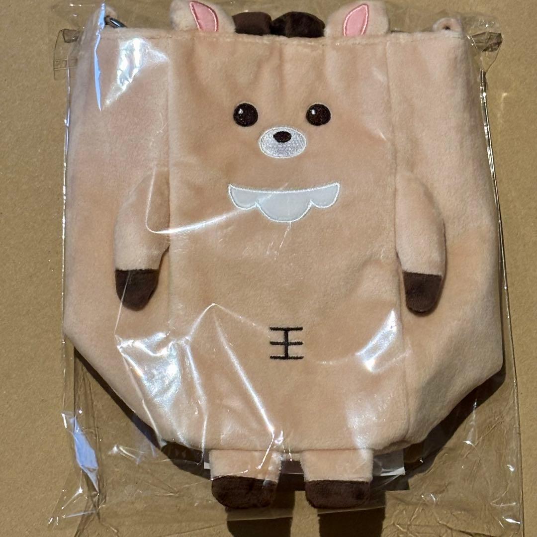 RIIZE 東京ドーム ソンチャン ファンライトバッグ ペンライトバッグ