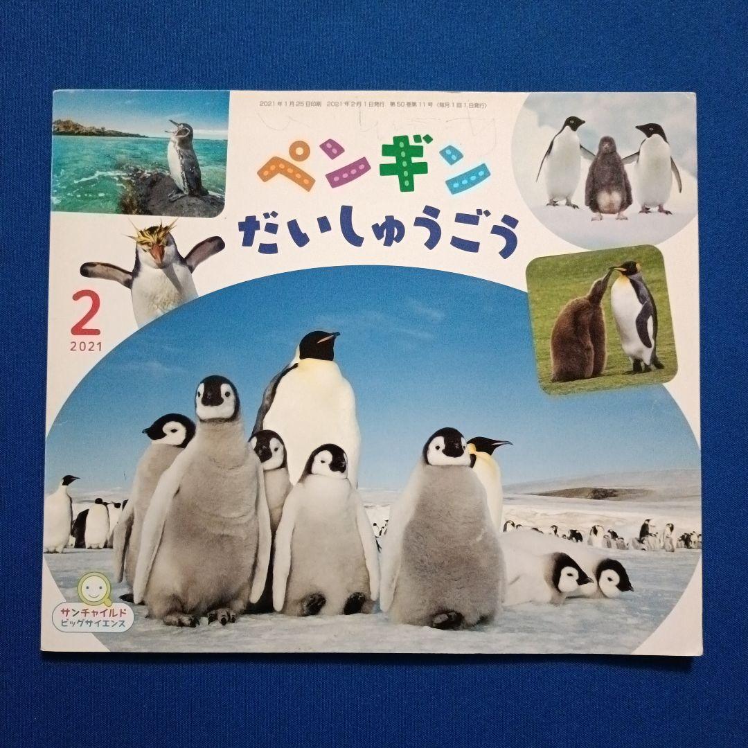 ビッグサイエンス キンダーブックしぜん こどものくに ペンギンさんの