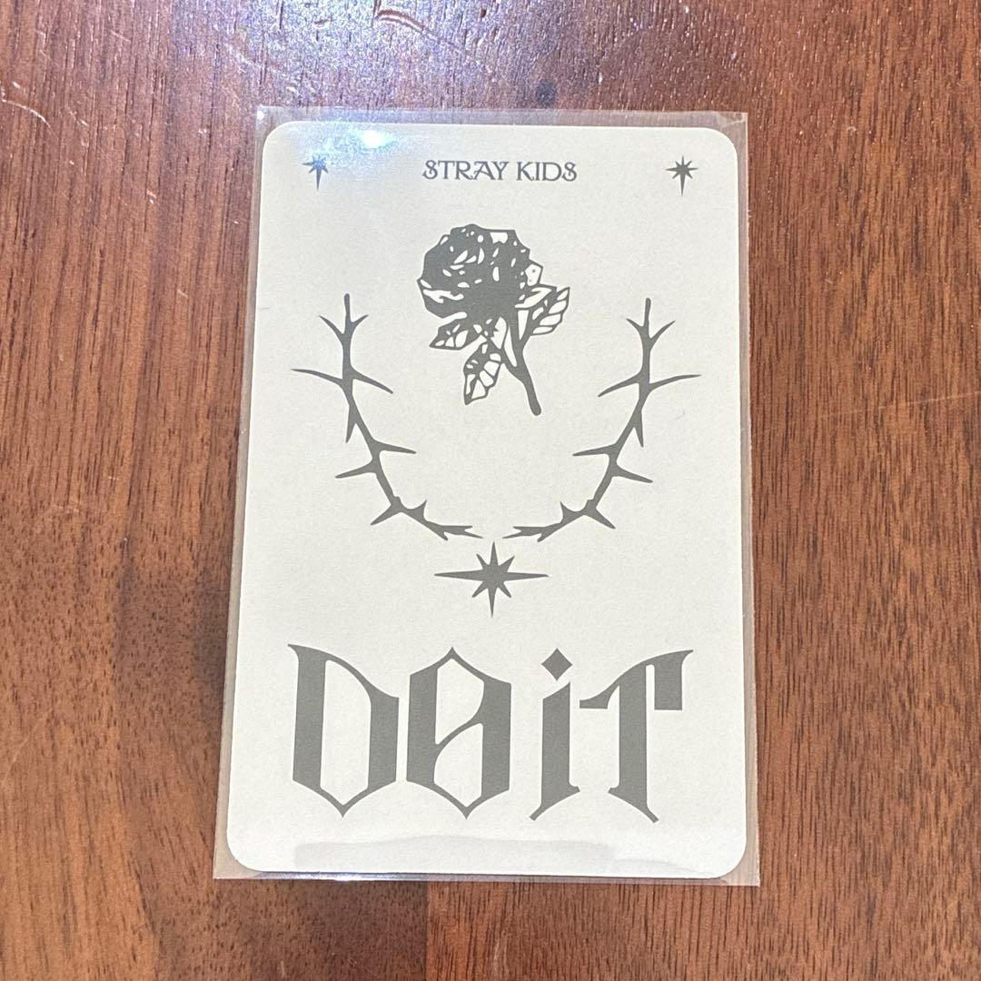 stray kids ヒョンジン evil skzoo speaker POB - メルカリ