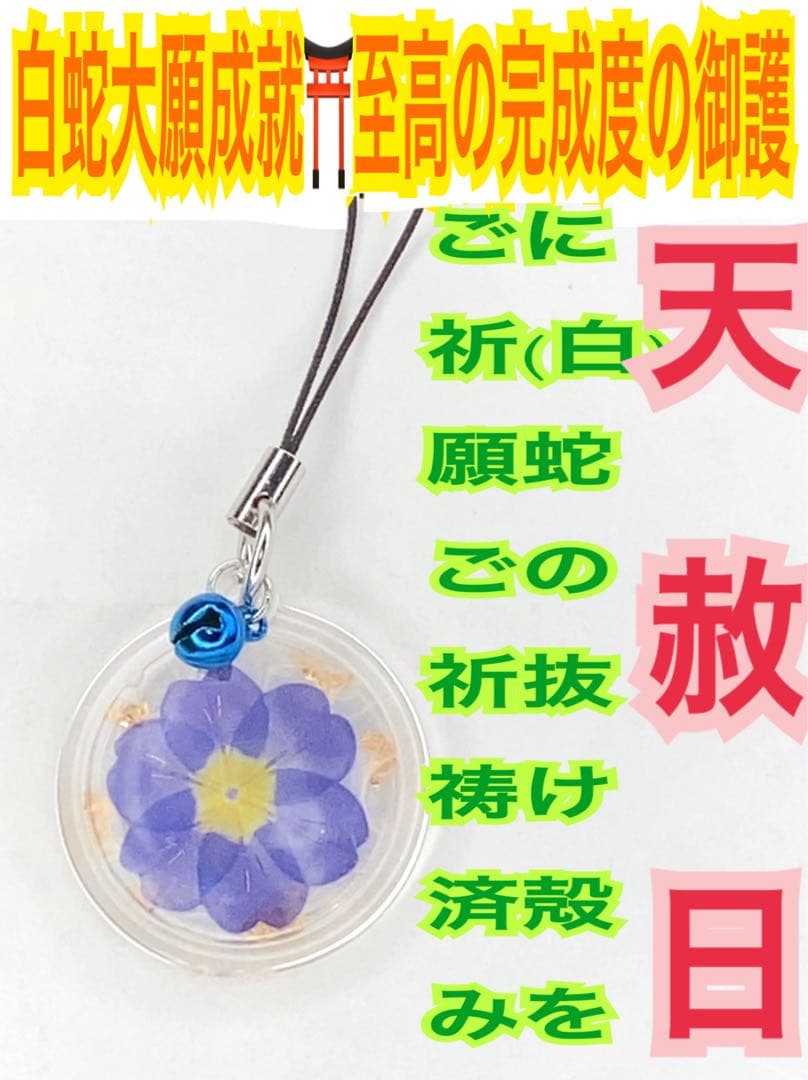 福招鈴✨パープル✨蛇の抜け殻✨第6チャクラ✨白蛇のお守り【天赦日ご祈祷済】紫AA Amazon.co.jp: 【神社祈願】白蛇 抜け殻 御守り 神社 白ヘビ カード