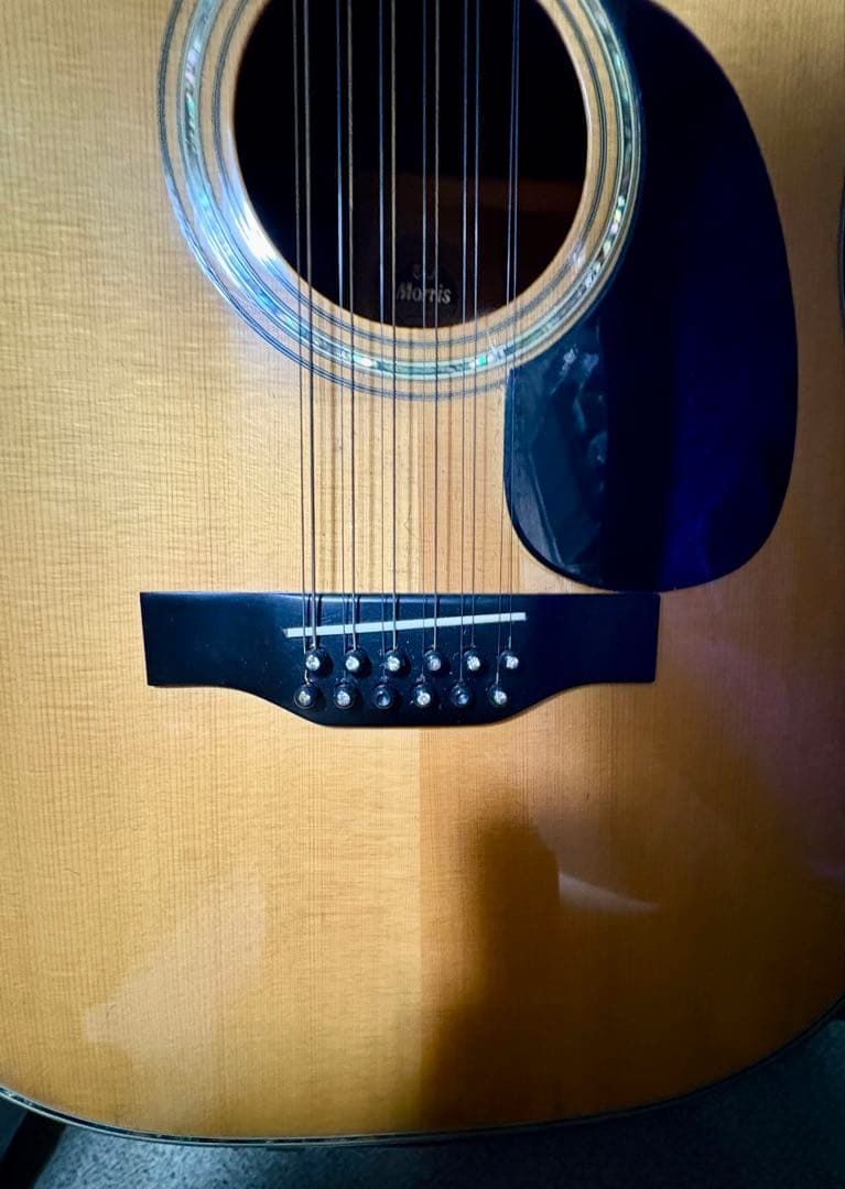 MORRIS B-100 12弦アコースティックギター ハードケース付き - ギター