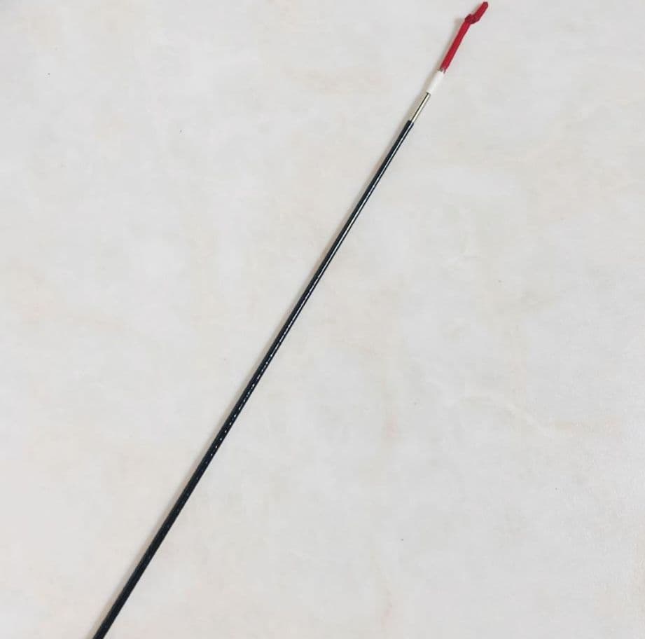 DAIWA ダイワ EXPERT 本流 P-3 9 9.5M J 本流 渓流