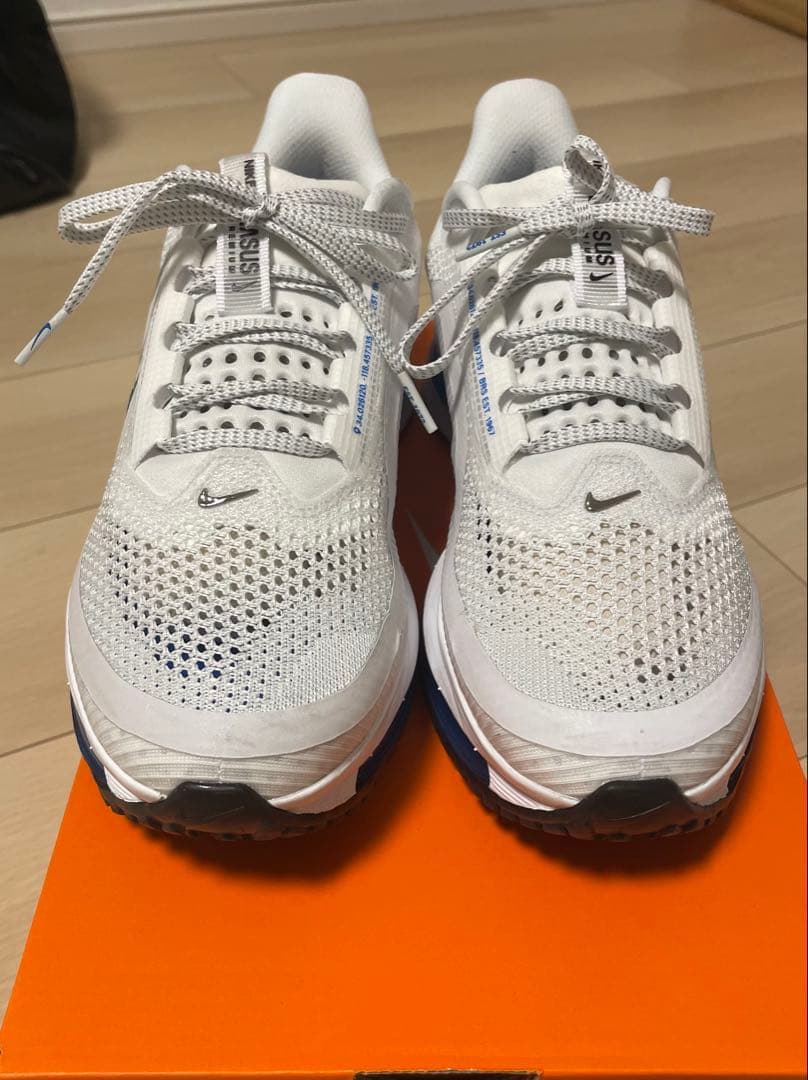 NIKE ペガサスプレミアム　25.5cm