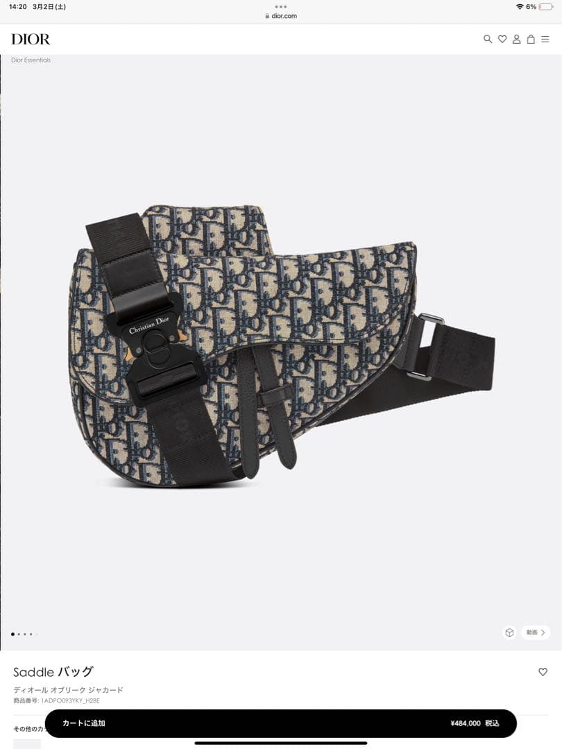 Dior Homme ディオール オム サドルバッグ オブリーク ジャカード