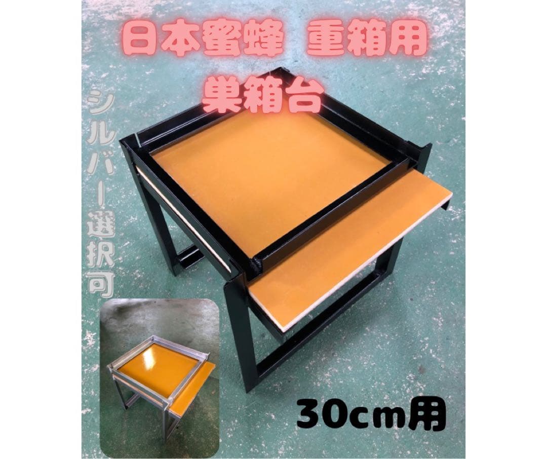 最終価格‼️ミドリメガネトリバネアゲハ♂♀標本☆オーストラリア産