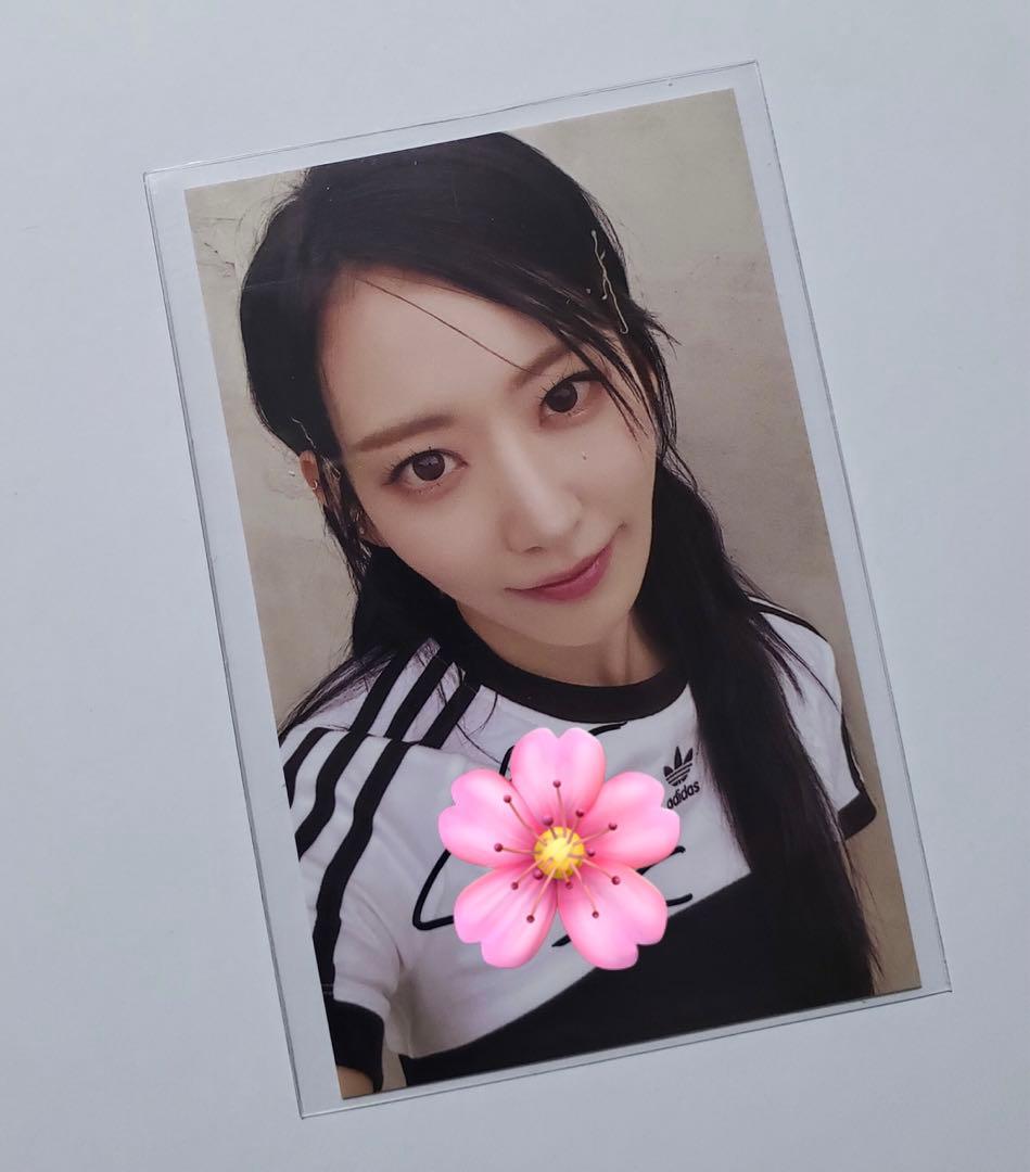 LE SSERAFIM 宮脇咲良 直筆サイン入り トレカ ラキドロ サクラ