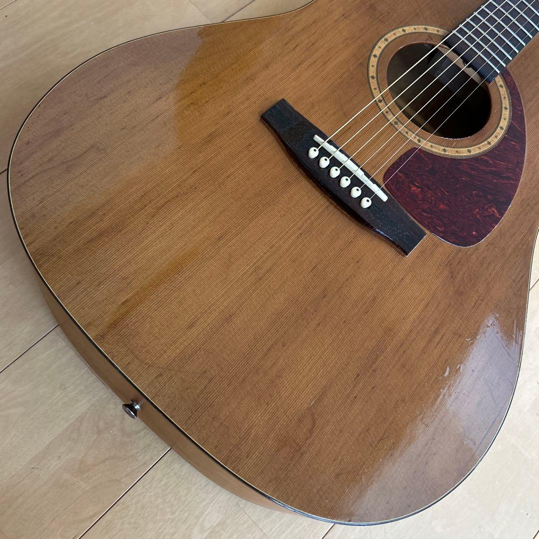 サイモン&パトリック モデル S&P6 シダー トップ単板 - thecreativo.com