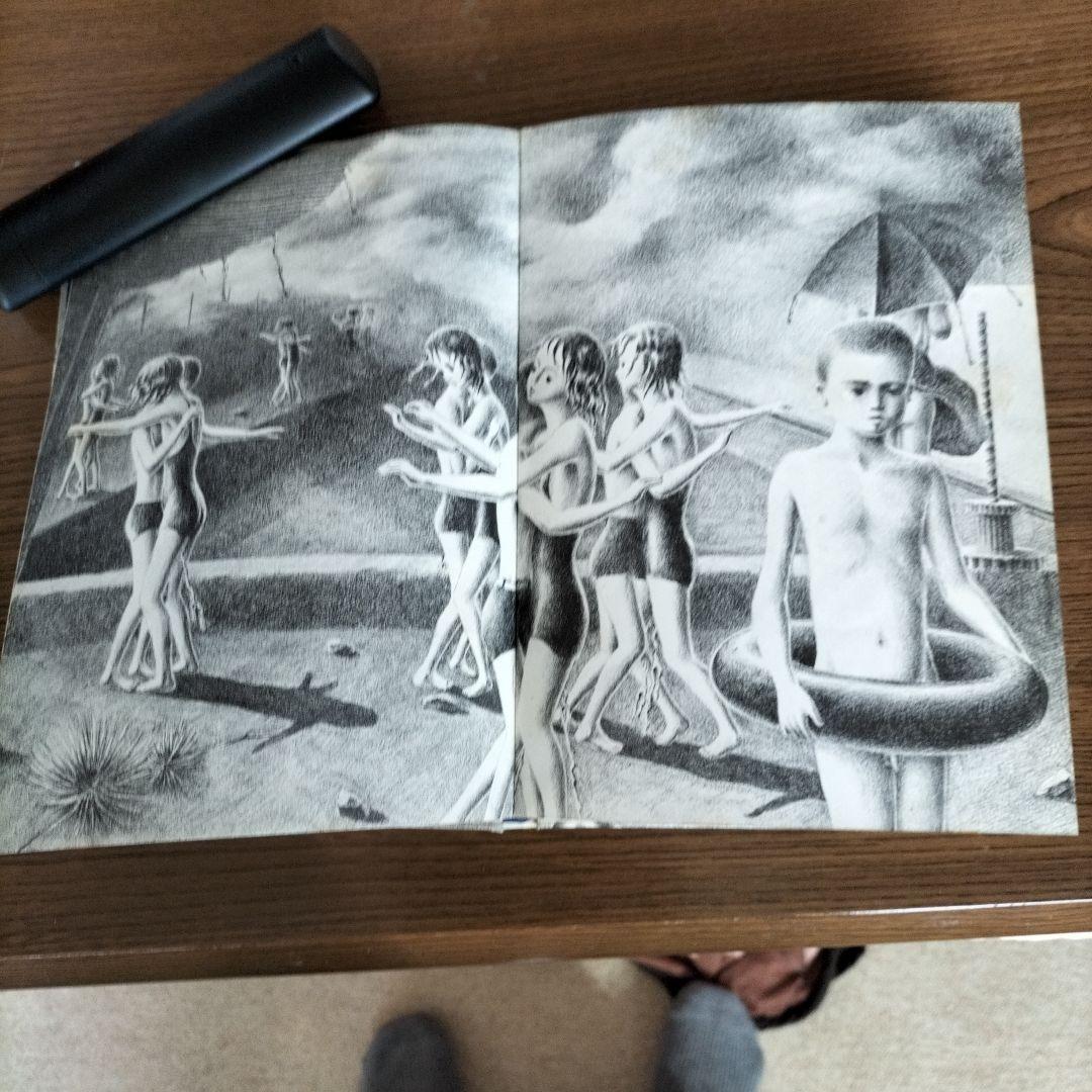 美しい日々 片山健画集 - メルカリ