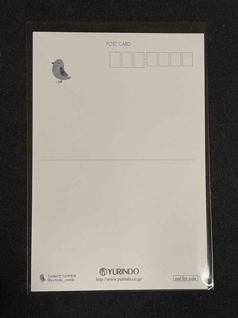 聖闘士星矢 セインティア翔［5巻］有隣堂特典 ポストカード 非売品