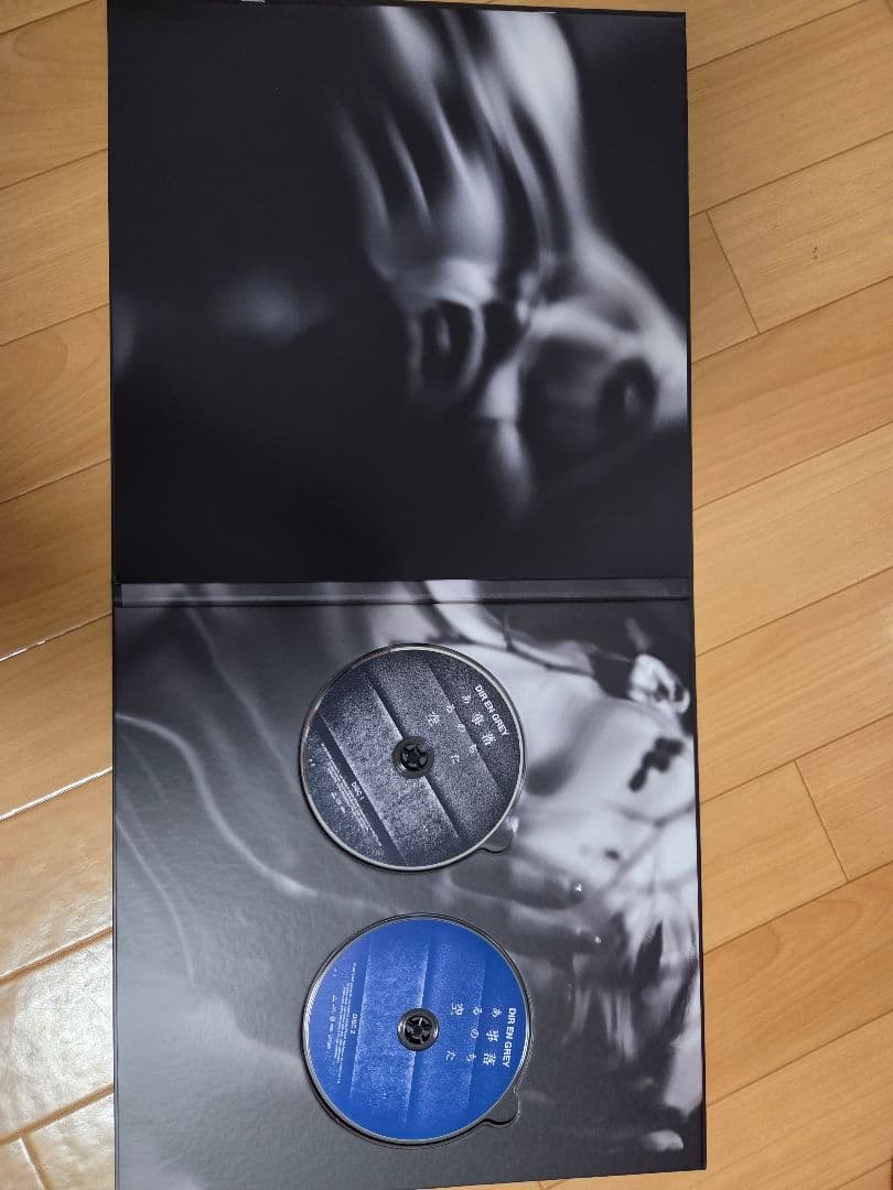 DIR EN GREY 落ちた事のある空 ぴあアリーナMM特別仕様