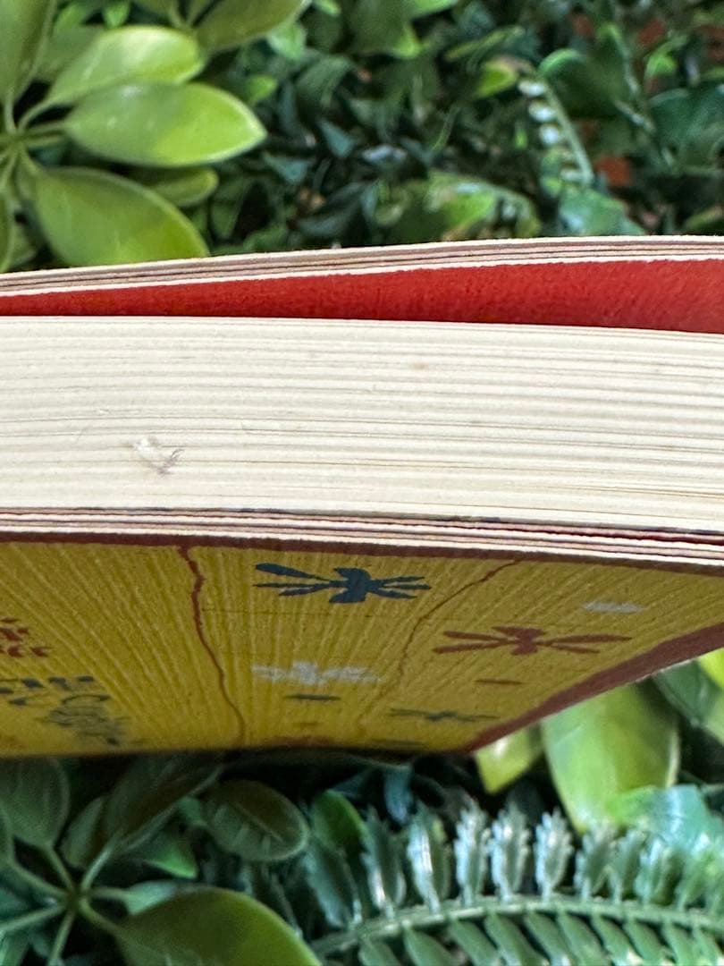 生きることの記 堀越富江著