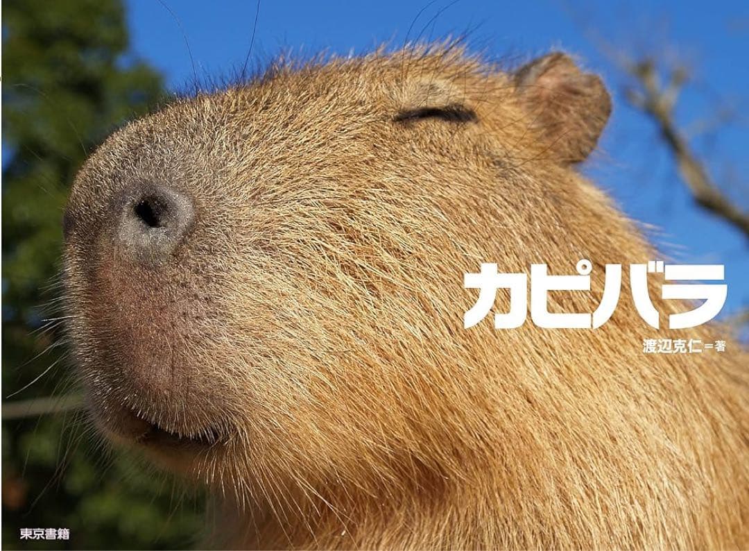 かぴばらセット スタッフが使ってみました – ビアカップ – シラカバセット – - 能い