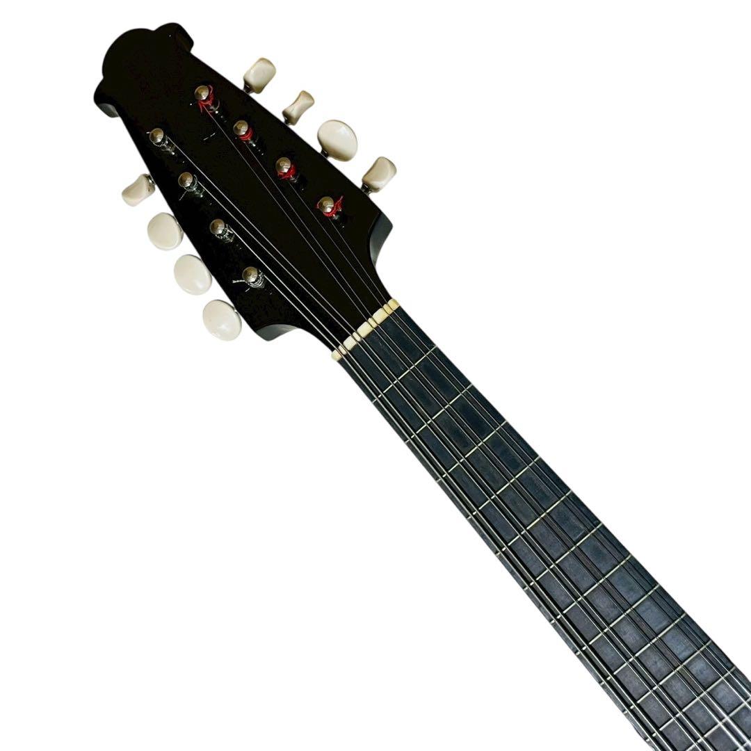 美品】中出六太郎 ROKUTARO NAKADE マンドリン A50 - メルカリ