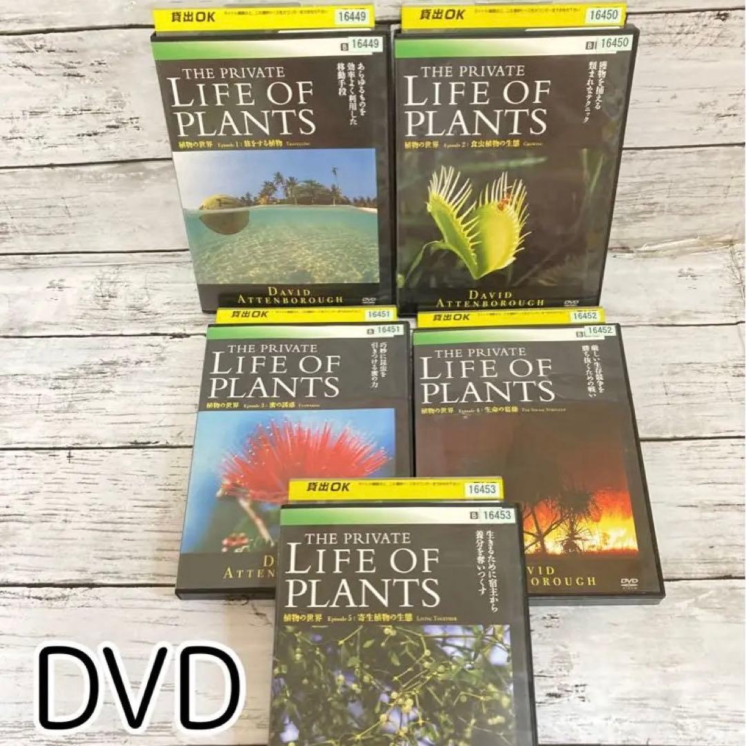 BBC 植物の世界 DVD 5枚セット　まとめ売り Amazon.co.jp: BBCドキュメント100シリーズ プライベート・ライフ