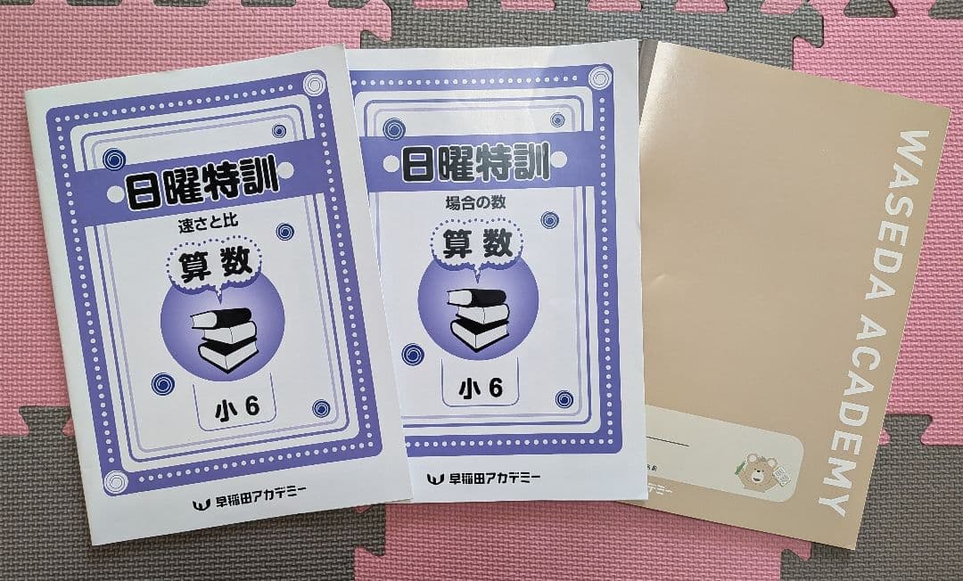 早稲田アカデミー 日曜特訓テキスト☆速さと比＆場合の数☆算数 小6