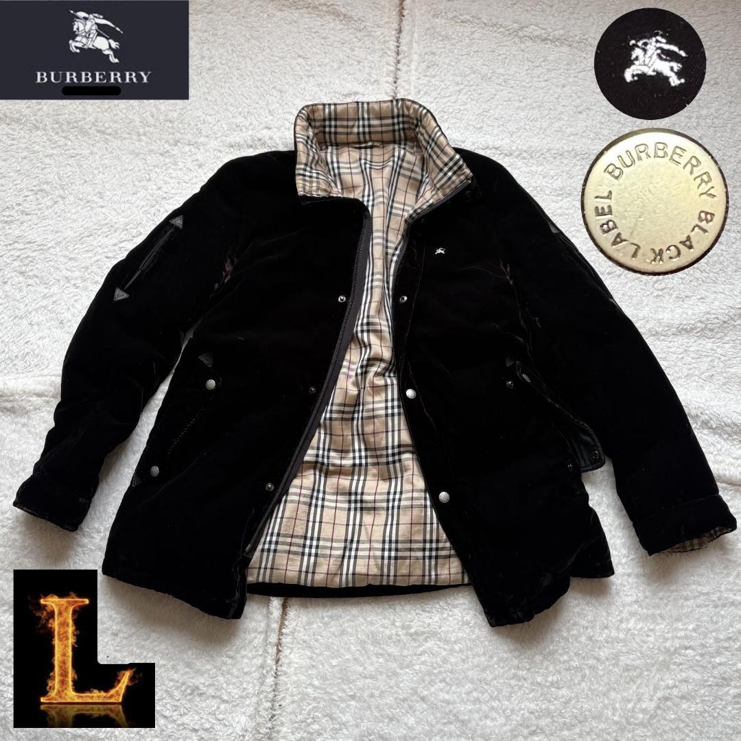 谷野圭一（富士）日本画 8号