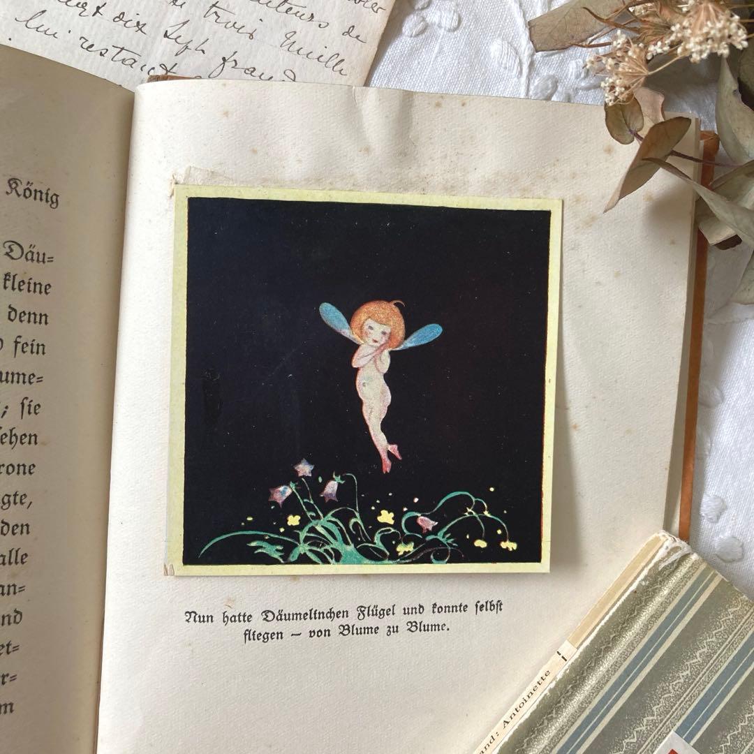 L303☆超希少☆エイナル・ネイマンの絵本 【おやゆび姫カード