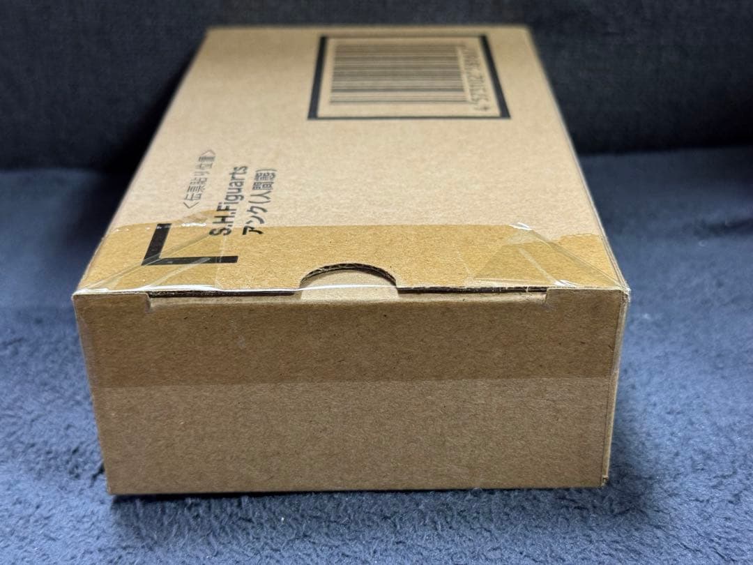 魂ウェブ商店限定 S.H.Figuarts(フィギュアーツ) アンク 人間態