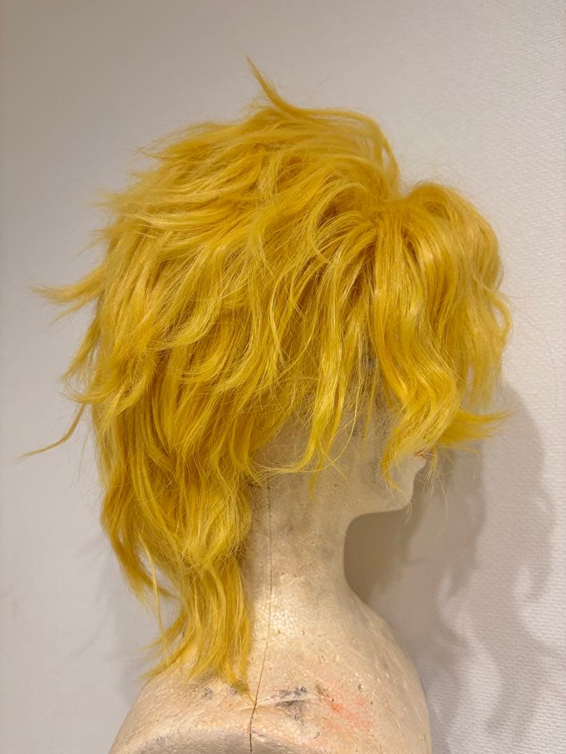 出品1/20まで】ジョジョ DIO コスプレフルセット 【出品1/20まで