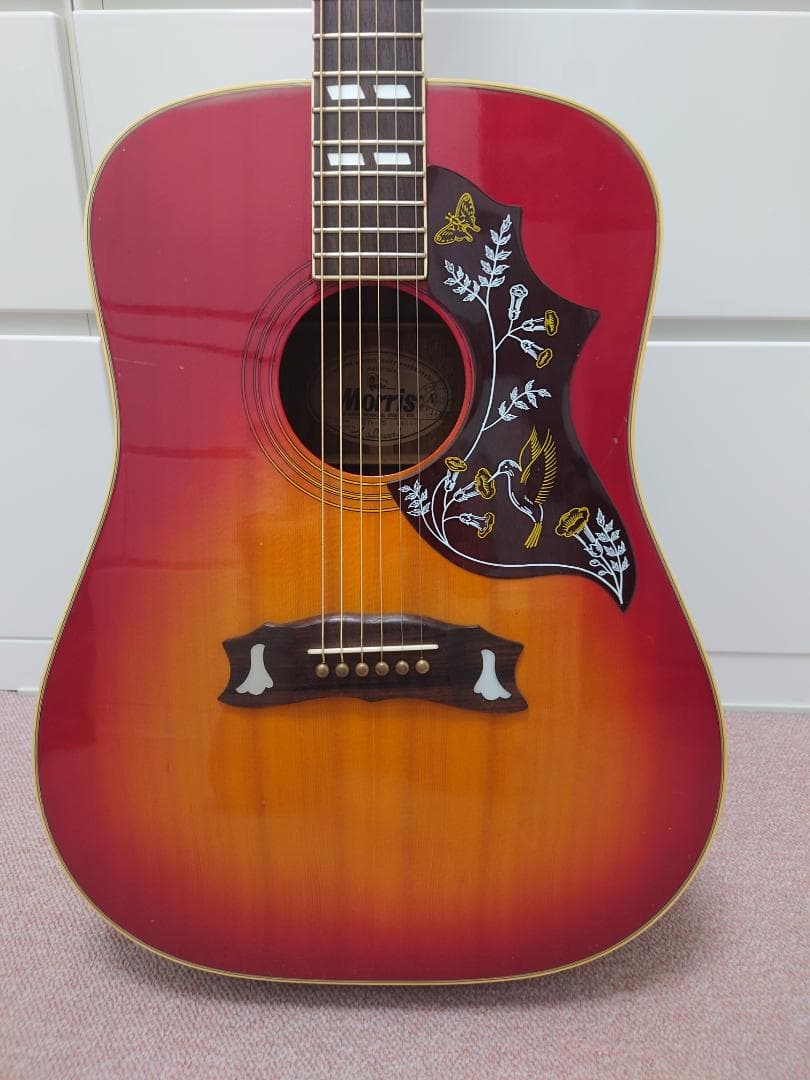 モーリス ギター Morris WD-25 ハミングバード 名機】Morris WD-25 寺田楽器製 ハミングバード／DOVE 調整済 - メルカリ