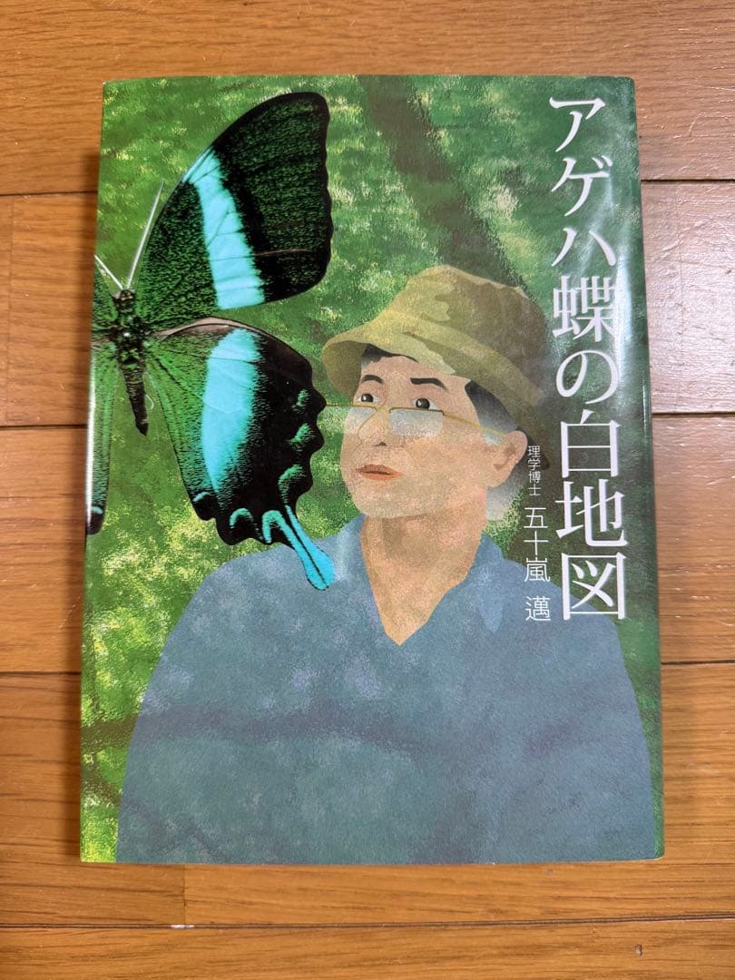 アゲハ蝶の白地図 - メルカリ