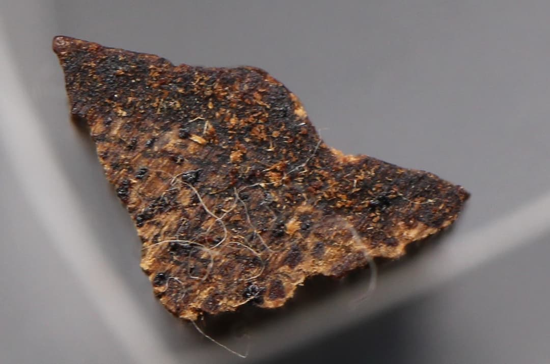 香木 古渡命銘木　真南蛮《難波》百二十種　約0.78g 沈香 お香