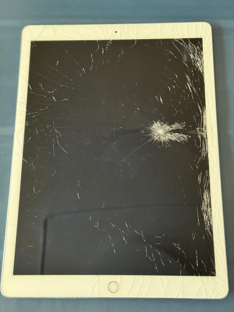 ジャンク品】iPad Pro 12.9インチ 第2世代 256GB