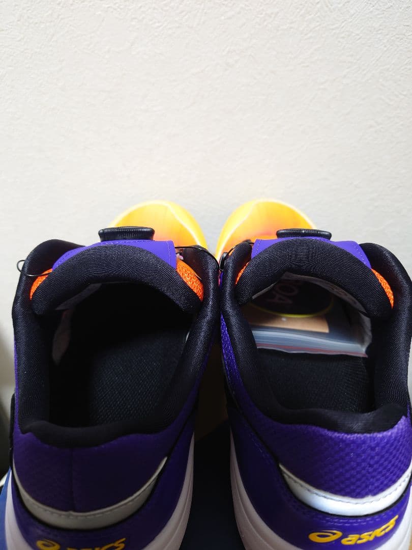 ASICS WINJOB CP209 BOA UTSUROI 25.5cm 新品