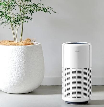 cado カドー　空気清浄機　LEAF250 ホワイト 除菌 消臭 メンテナンス LEAF250 from 蔦屋家電＋ – cado