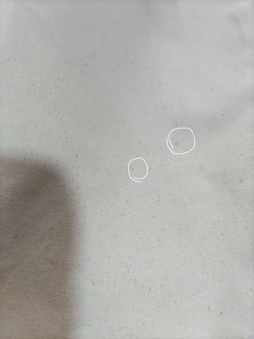 L.L.Bean×ペコちゃん　 エコバッグ チャーム付き　新品　レア