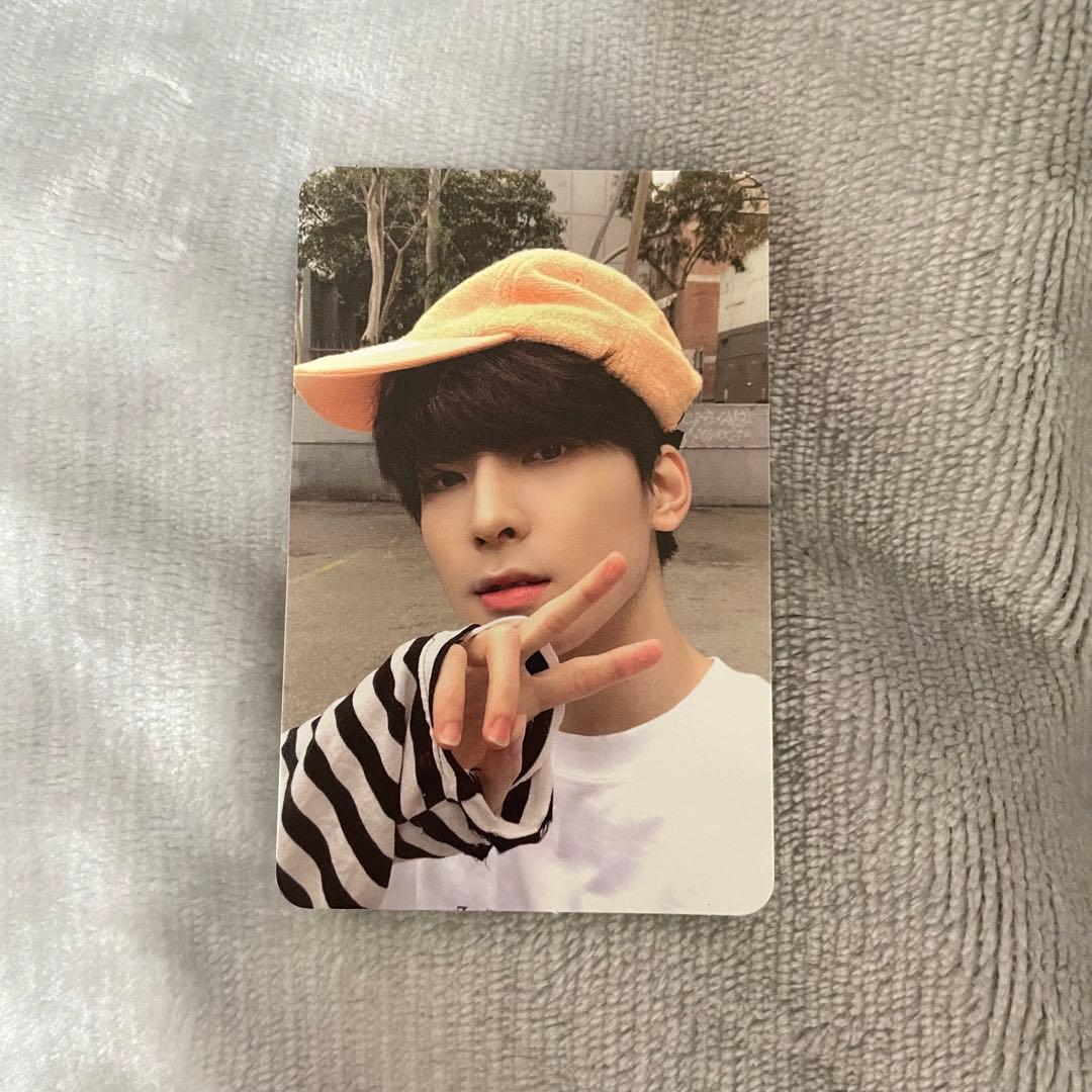 セブチ ウォヌ ヘンガレ トレカ ヨントン