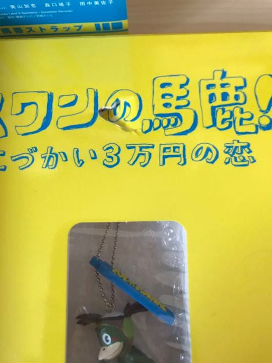 訳あり　スワンの馬鹿!～こづかい3万円の恋～