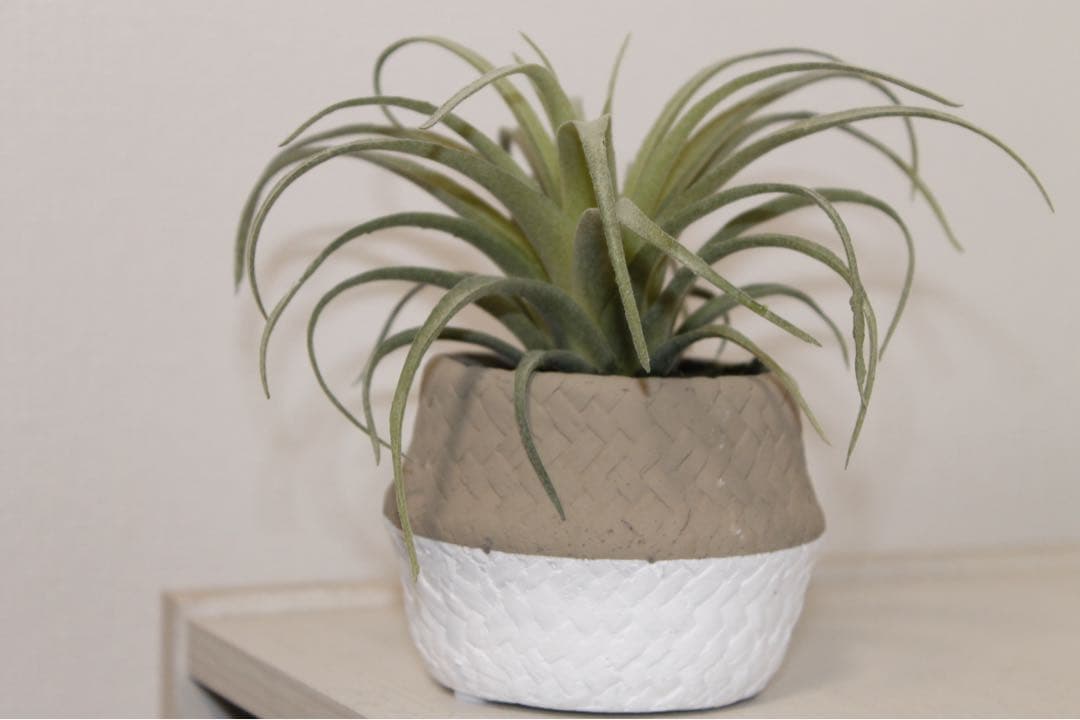 ✨シャッター数少なめ✨Canon kiss X50 手ぶれ補正 バック付き - メルカリ