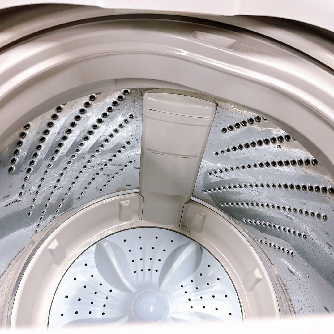 ★送料込み★5.5kg 洗濯機ハイセンス カビ取り槽洗浄 簡易乾燥HW-T55D