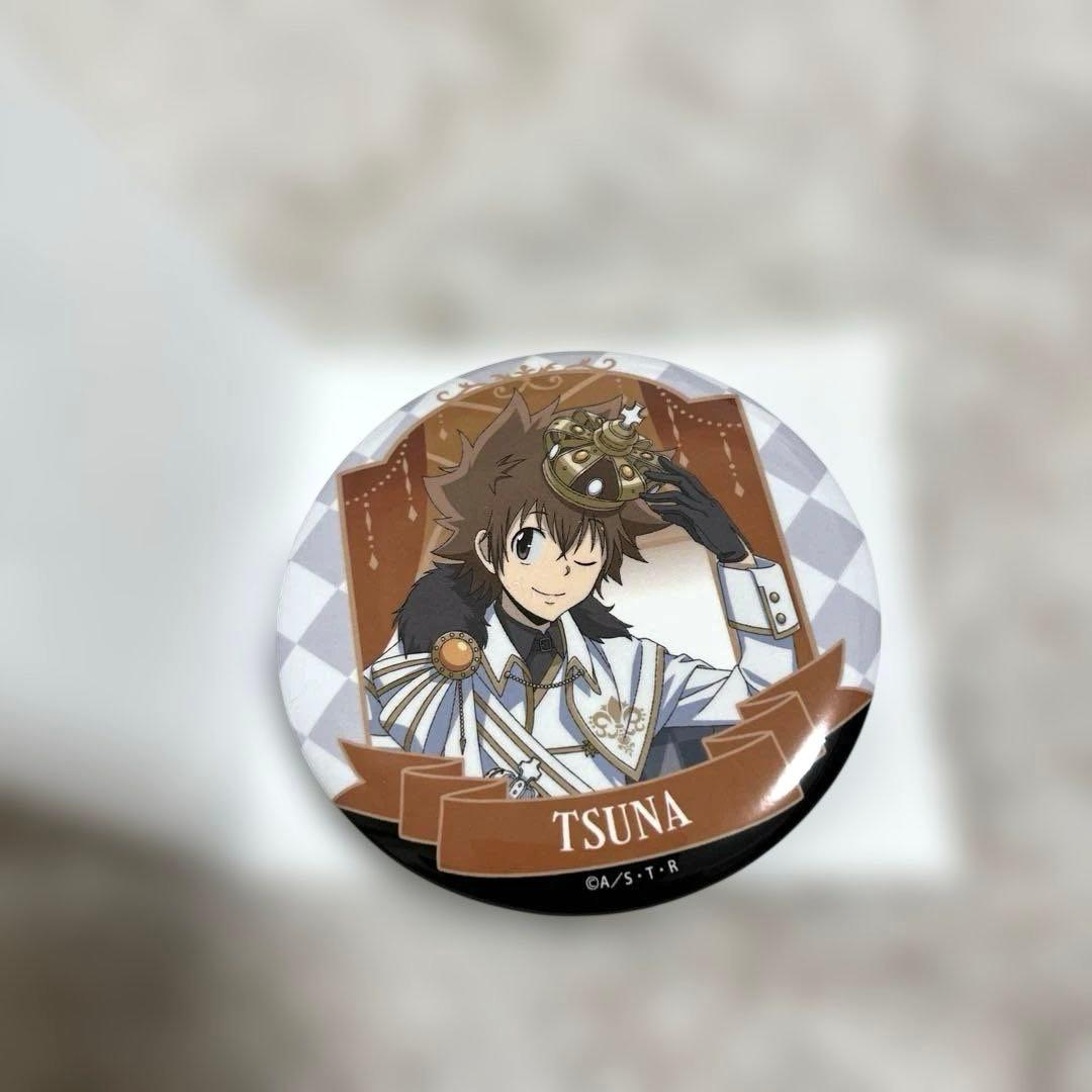 家庭教師ヒットマンREBORN! リボーン ラッキー缶バッジ 沢田綱吉