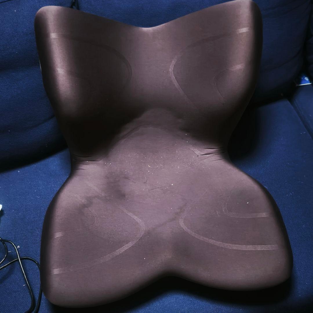 StyIe PREMIUM スタイルプレミアム ブラウン 骨盤矯正