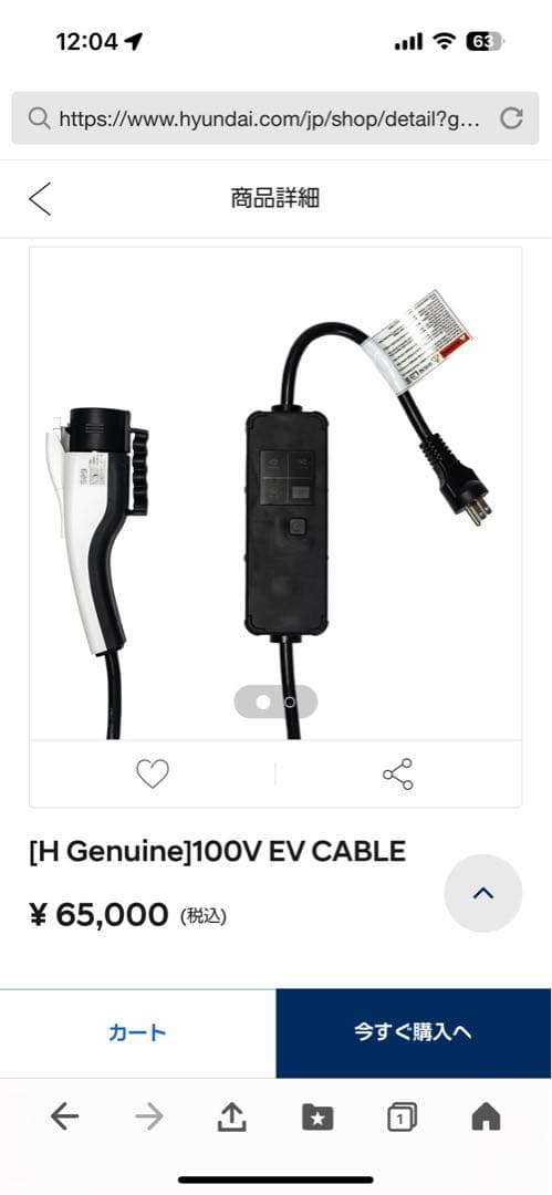 100V EV車 電気自動車 hyundai 充電器 100V 充電 ケーブル - メルカリ