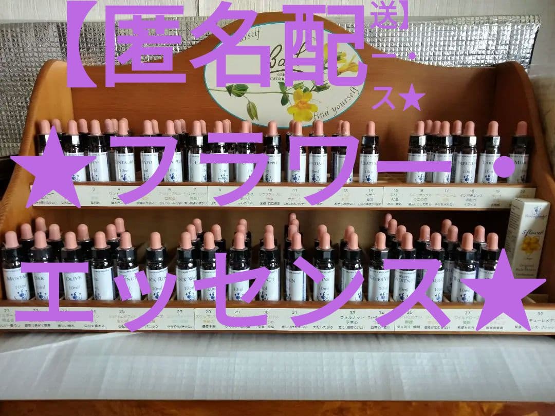 PON☆55様■ ホワイトチェストナット2 チコリ2 インパチェンス1 チェスト Nチェリー80-5 WH | TWO-ONE STYLEネット